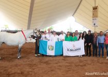 W CALIDAD PLC , SUBCAMPEONA DEL CONCURSO